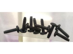 1-S02008TP　TPバインドビス(M2.0x8/10pcs)