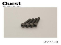 QUEST　CA5116-01　3.5x1.5mm　キャップビス