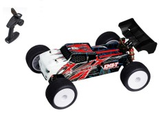 EMB-TGH-LIPOR　1/14 EMB-TG　4WD トラギー RTR （完成品）