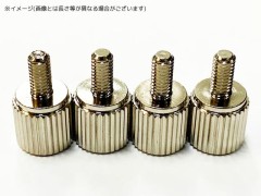 TRN-42　ネジ付きウェイト 4.2g