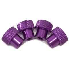 TE-SHNPL　カラフルなセッティングホイルナットM4 パープル ４個