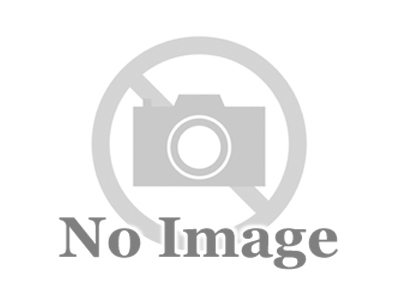 DT-SP-004　HIGH BIG BORE SHOCK PISTON ROD GUIDE (4pic) 