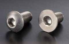 NT-F3-102　SPRING TITANIUM SCREW  (Flat Head 3mm x 10mm 10pic)
