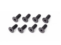 B02410　M4x10mmフラットヘッドスクリュー（8個）