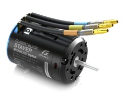 G0423　Classic Black Stayer　Brushless Motor (21.5T)