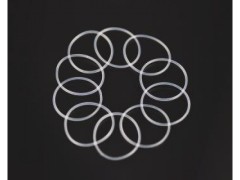 SER804200#　デフケースOリング