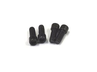 RC-001　M2x5mm キャップスクリュー（4本入）