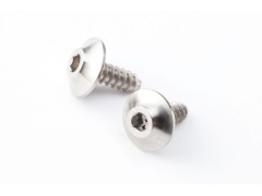 HS-TS01　8810 STYLE SPMチタン製 ウイング用 M2×5mm タッピングスクリュー（2本入）
