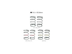 TP-380SET　RWD用 S-Line セミショートスプリング (フロント用セット) 3種各2本入