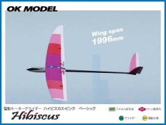 11328　PILOT　Hibiscus (ハイビスカス) ピンク　ベーシック　　(お取り寄せ品)　　　※大型送料