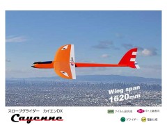 11340　Cayenne (カイエン) DX  (お取り寄せ)