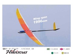 ラジコンヘリ(エンジン)とラジコングライダー(電動)一式 飛行機・グライダー関連 > ○RCプレーン半完成キット 商品一覧