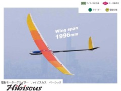 11311　PILOT　Hibiscus (ハイビスカス)黄 ベーシック　(お取り寄せ品)　　　※大型送料