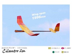 12161　PILOT シラントロ 2m　(お取り寄せ)　　　※大型送料