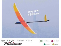 11311　PILOT　Hibiscus (ハイビスカス)黄 ベーシック　(お取り寄せ品)　　　※大型送料