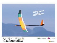 11336　PILOT CALAMANSI (カラマンシ) DX(2.5m) (お取寄せ)　　※大型送料