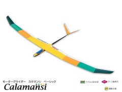 11337　PILOT CALAMANSI (カラマンシ) ベーシック(2.5m)　(お取寄せ)　　　※大型送料