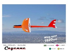 11340　PILOT　Cayenne (カイエン) DX  (お取り寄せ)