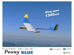11351　PILOT　Peony BLUE (ピオニー・ブルー) DX (お取り寄せ)