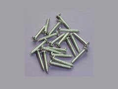 #25010　サーボ用木ネジ 1.6x10mm (マイクロサーボ用)