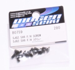 B0759  SJG2.5X6 F/H スクリュー