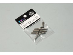 B0748Ta  SJG4X15 チタンF/Hスクリュー(8pcs.)