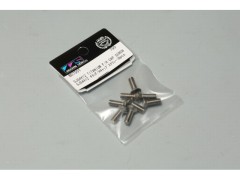 B0750Ta  SJG4X12 チタンF/Hスクリュー(8pcs.)