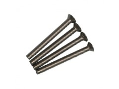 B0751Ta  SJG3X32 チタンF/Hスクリュー(4pcs.)