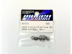 B0753Tb  SJG3X5 チタン F/Hスクリュー (8pcs.)