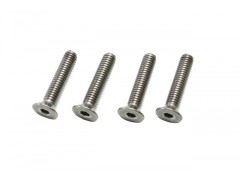 B0763Ta  SJG4X20 チタンF/Hスクリュー(4pcs.)