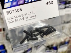 B07308  SiG2.5X10 B/H スクリュー