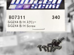 B07311  SiG2X4 B/H スクリュー