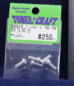 30310　ジュラビス キャップ M3×8