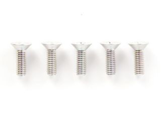 SG.26  2.6x8mm皿ビス(5本)