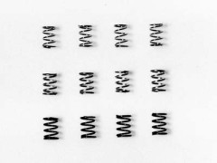 SP.509  F-1フロントスプリングセット