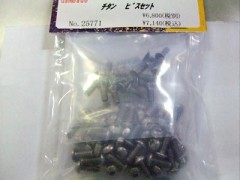 25771  チタン ビスセット