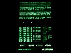 66221  蓄光ナンバープレートセット ブラック仕様