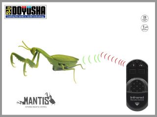 6661　走る!! 昆虫シリーズ No.1 カマキリ　[トイラジコン]