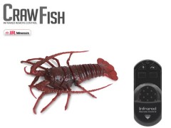 7703　赤外線でしっぽが動く　伊勢えび