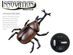 9996-A　走る!! 昆虫シリーズ　No.2　かぶと虫