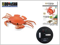 9995-A　がちカニ歩き カニ