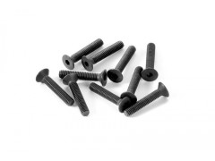 XR903316#　皿キャップビス【M3x16/10pcs】