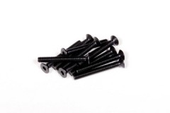 AXA150　　フラットヘッドスクリュー M3x25mm（六角ソケット/ブラック/10pcs） (処分特価)