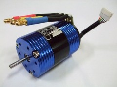 PSM-011　　POISON DRIFT センサードモーター 8.5T